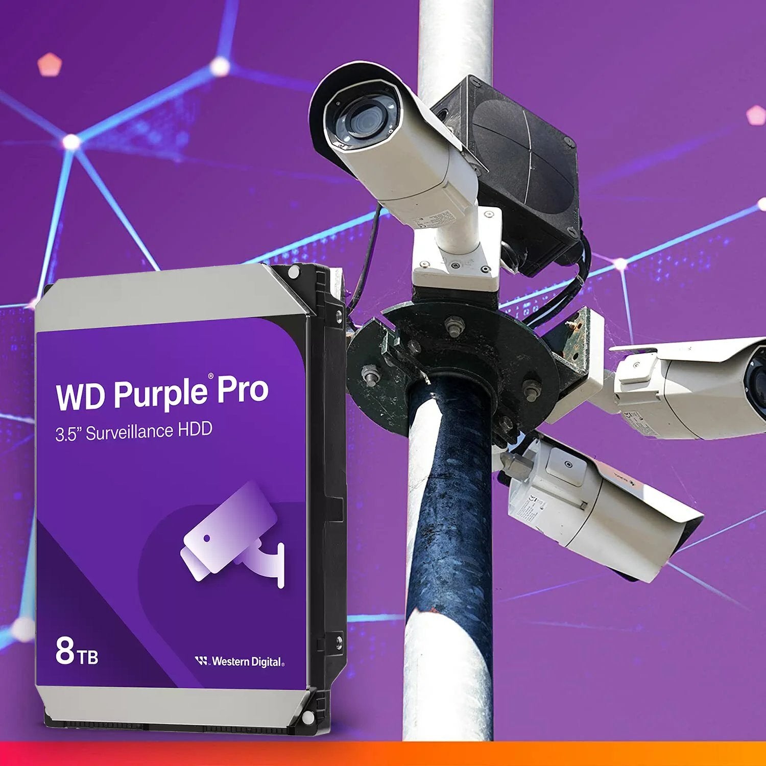 Western Digital - Purple & Purple Pro